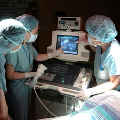Abdominal Ultrasound Course