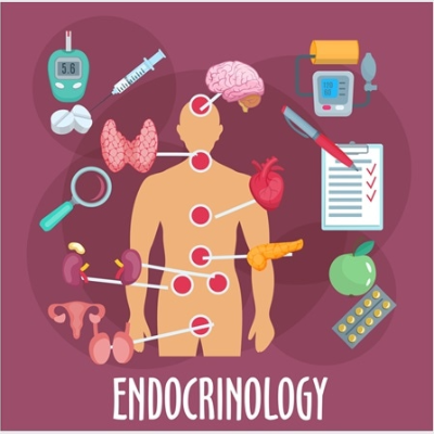 Diploma in Endocrinology